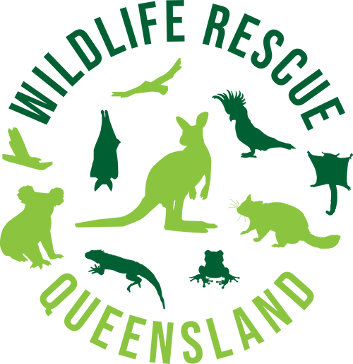 wildliferescuequeensland logo
